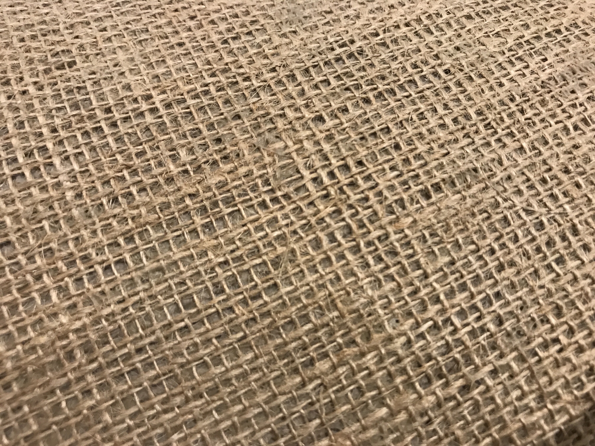 carpet 2
