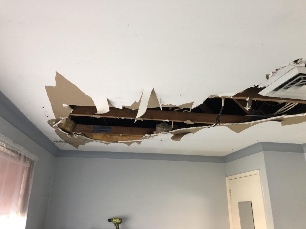 Mould Remediation NSW