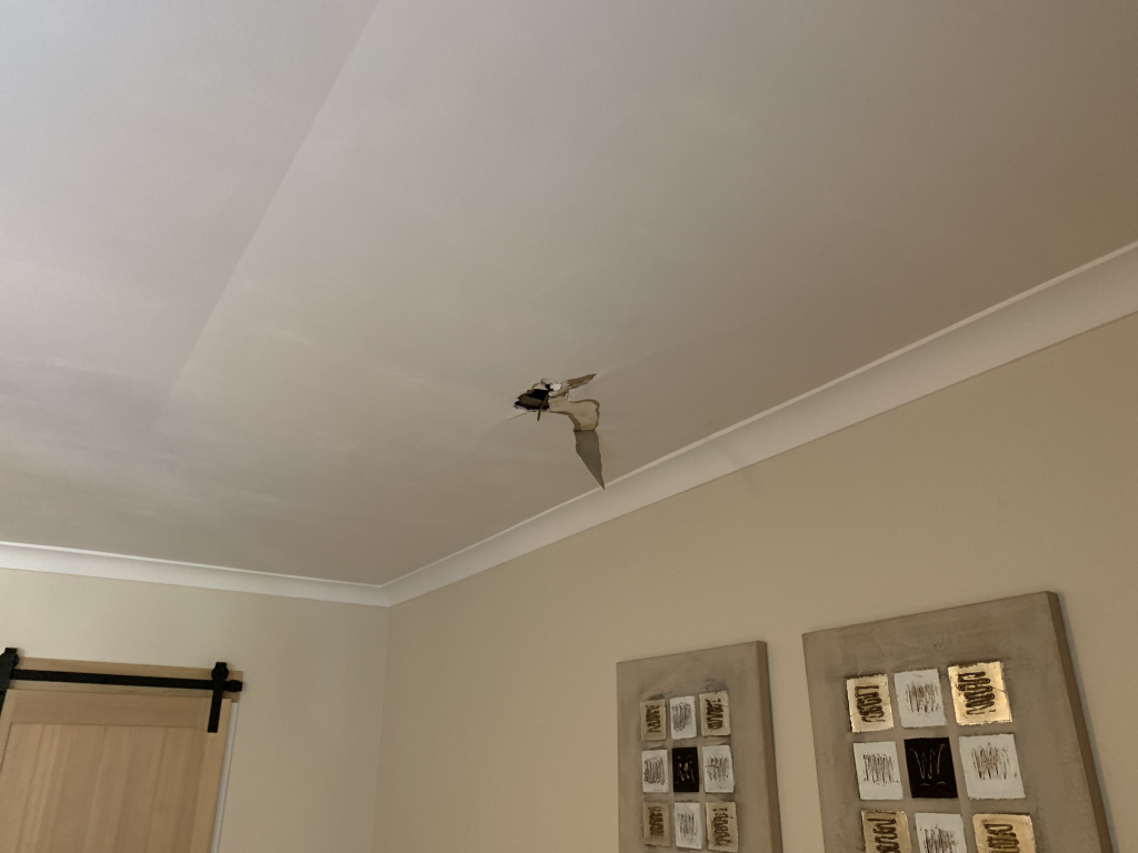 Mould Remediation NSW
