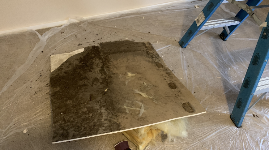 City of Newcastle - Insurance Mould Removal 2