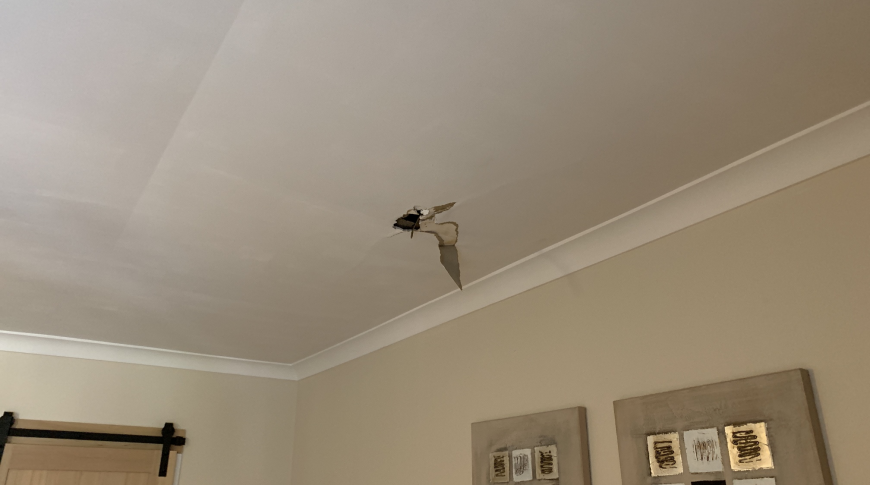City of Newcastle - Insurance Mould Removal