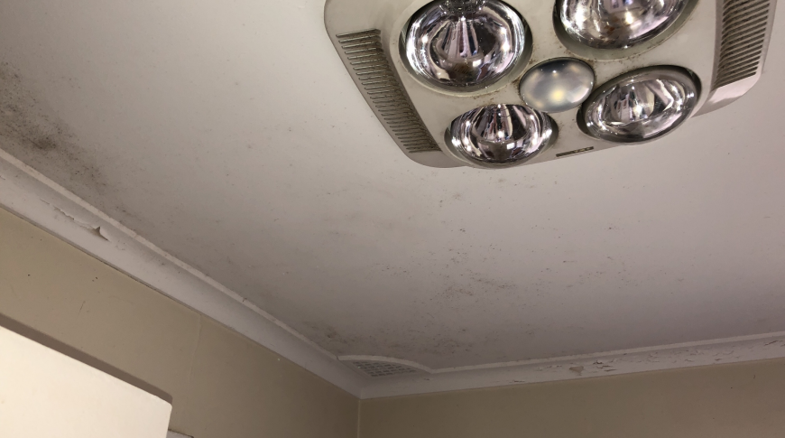 Hills District Mould Removal 2