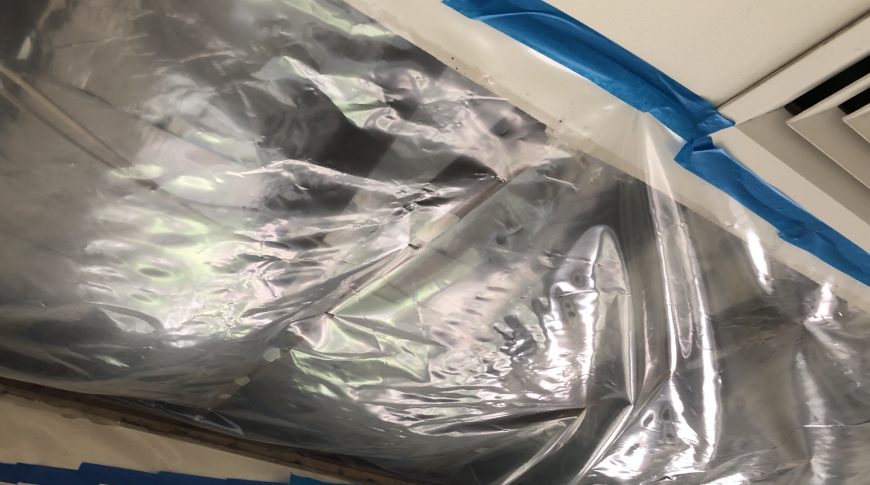 Hills District Mould Removal 3