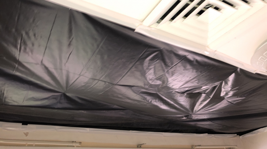 Hills District Mould Removal 6