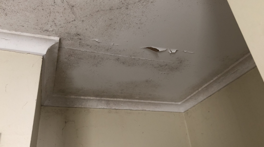 Hills District Mould Removal
