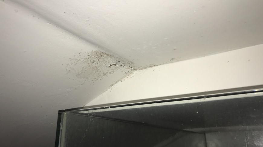 Hills Shire - Insurance Mould Removal 3