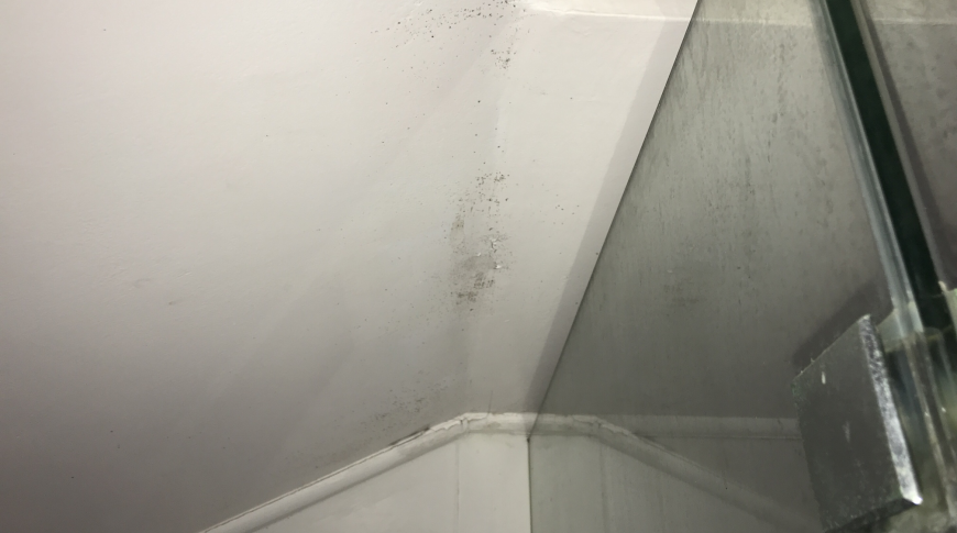 Hills Shire - Insurance Mould Removal 4