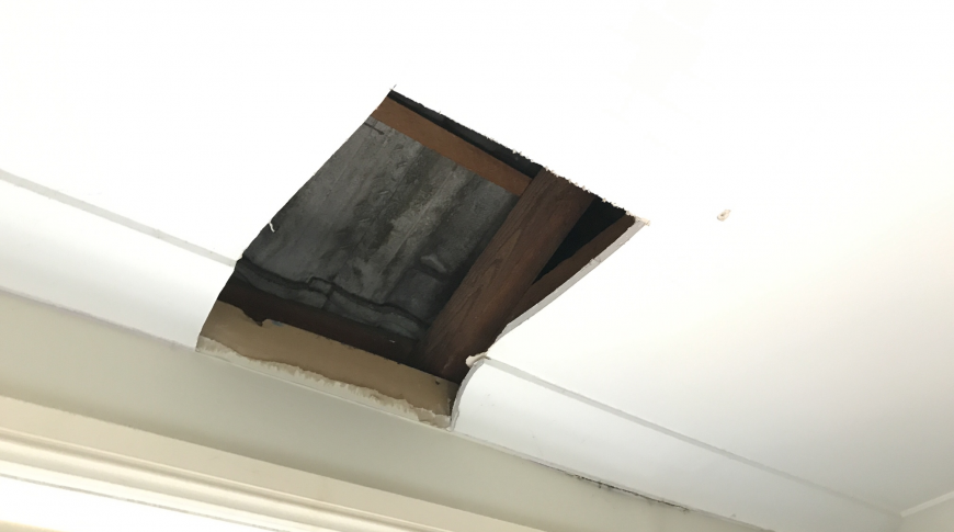 Hills Shire - Insurance Mould Removal 5