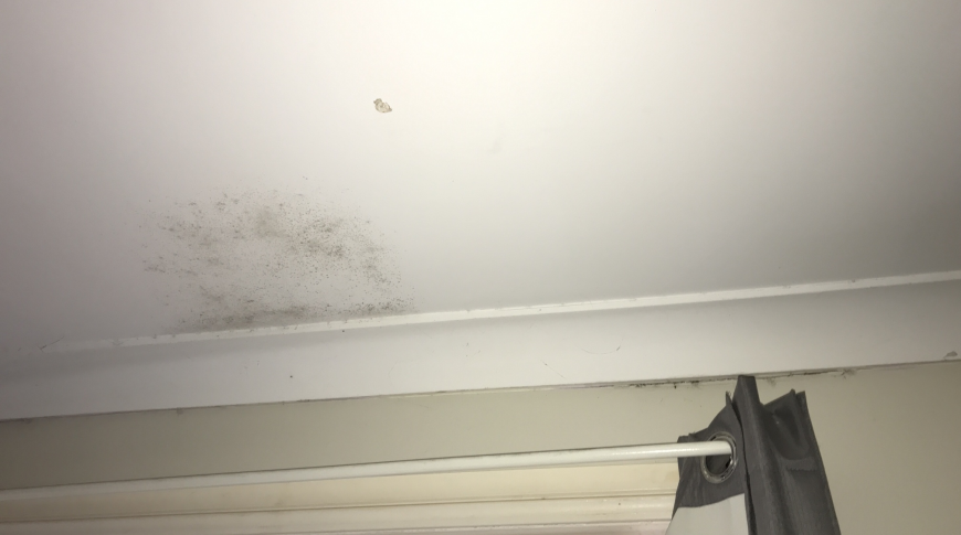 Hills Shire - Insurance Mould Removal