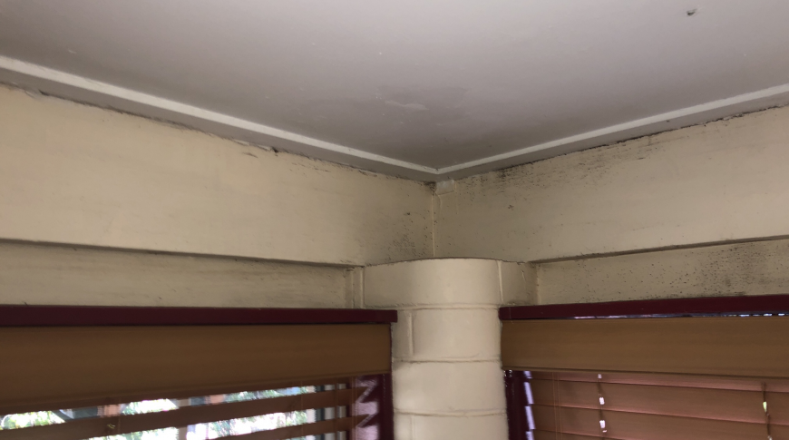 Inner West Sydney Mould Removal 2