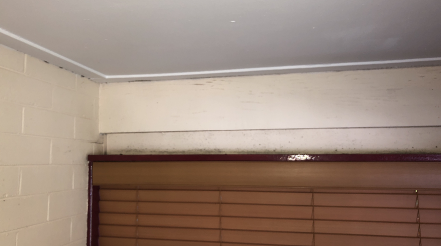 Inner West Sydney Mould Removal 3