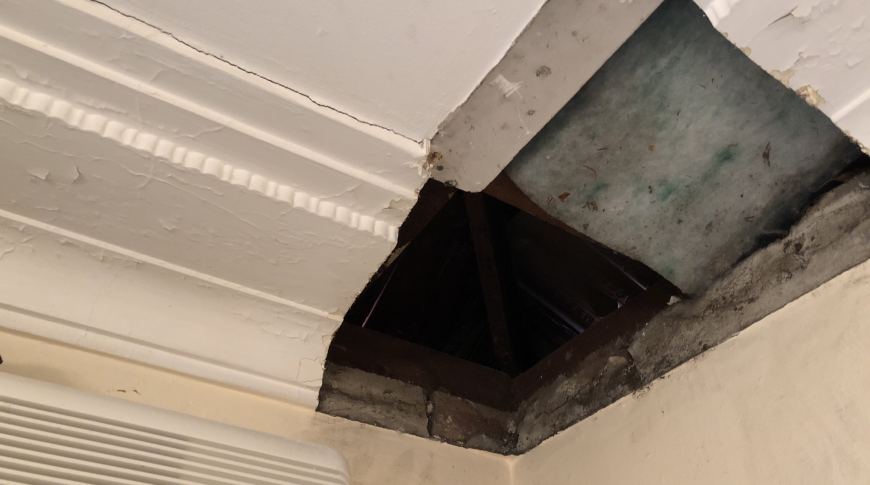 Inner West Sydney Mould Removal 4