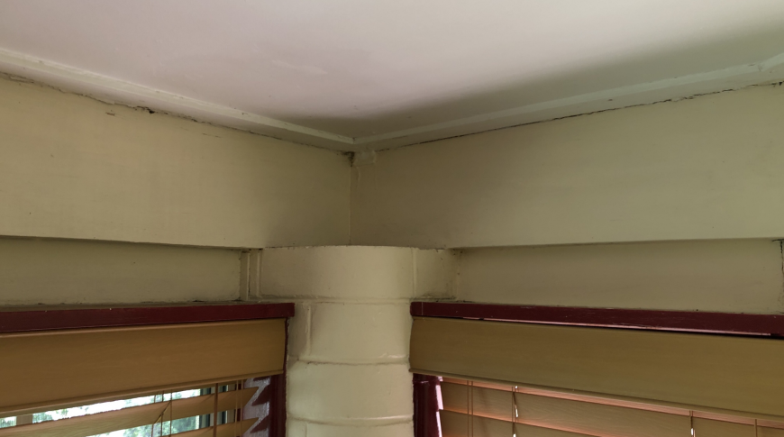 Inner West Sydney Mould Removal 6