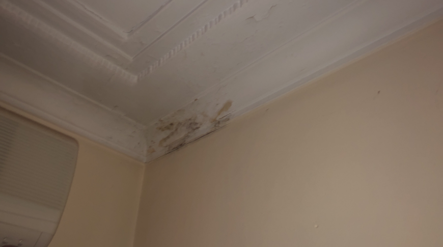 Inner West Sydney Mould Removal