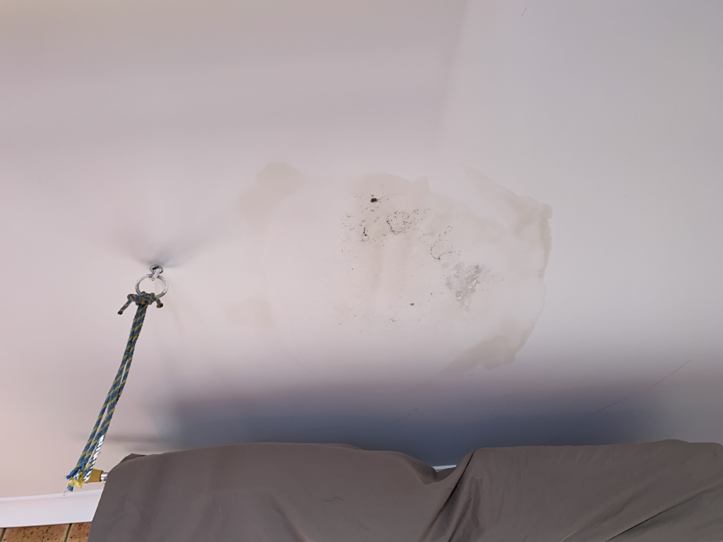 Mould Remediation VIC