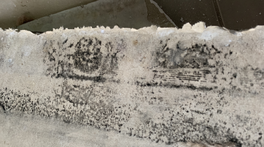 South East Melbourne - Insurance Mould Removal 3